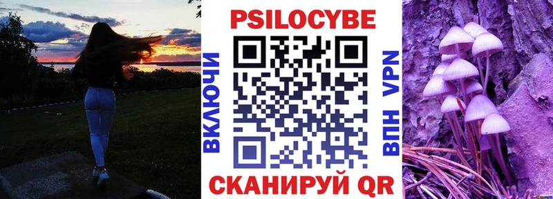 цены наркотик  МЕГА зеркало  Галлюциногенные грибы ЛСД  Кашира 
