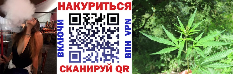 где можно купить   Кашира  Шишки марихуана сатива 